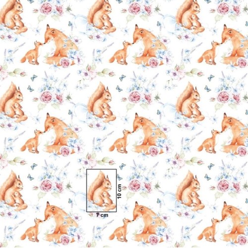 Bawełna liski i wiewiórki na białym tle, tkanina o splocie płóciennym, 125 g/m², szerokość 160 cm – na metry, do odzieży, pościeli i dekoracji.